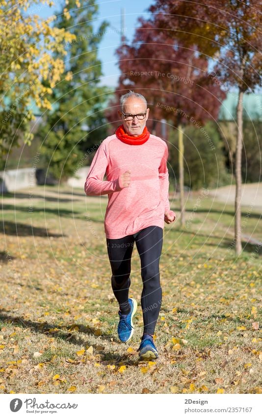 Senior Läufer beim Training für einen Wettkampf Lifestyle Glück Gesundheit sportlich Wellness Freizeit & Hobby Sommer Sport Leichtathletik Sportler Joggen