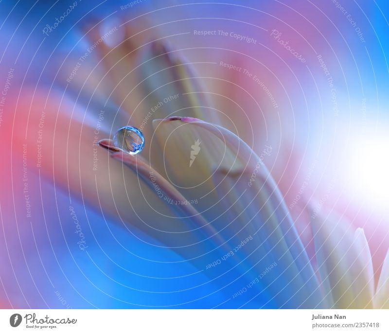 Sanftes romantisches künstlerisches Bild. Weicher pastellfarbener Hintergrund verschwimmt. Kunst Künstler Kunstwerk Umwelt Natur Pflanze Wasser Wassertropfen