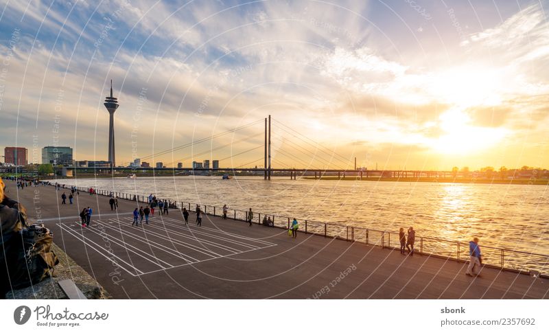 Düsseldorfer Sommerabend Stadt Skyline Ferien & Urlaub & Reisen Dusseldorf Großstadt harbour river urban transport public train autumn evening bridge cityscape