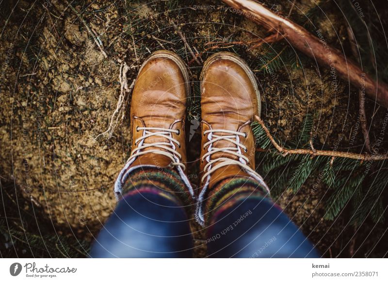 Braune Stiefel und Wollsocken harmonisch Wohlgefühl Erholung ruhig Freizeit & Hobby Abenteuer Freiheit Leben Fuß 1 Mensch Natur Erde Frühling Pflanze