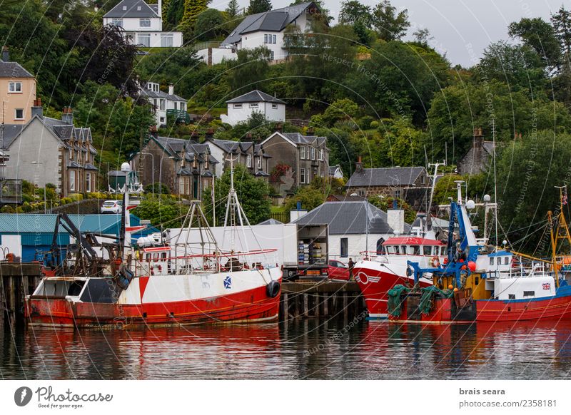 Oban Harbour. Fisch Meeresfrüchte Ferien & Urlaub & Reisen Tourismus Ausflug Strand Häusliches Leben Haus Arbeit & Erwerbstätigkeit Beruf Arbeitsplatz Industrie