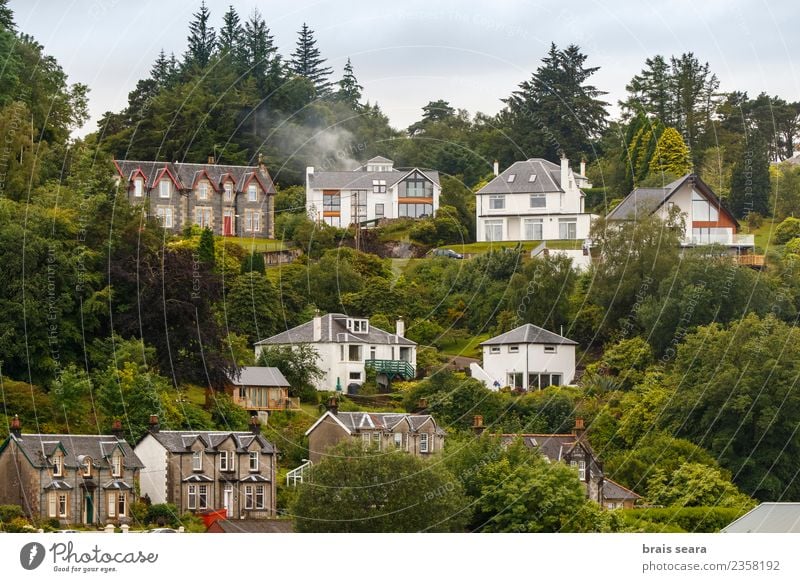 Oban Häuser Ferien & Urlaub & Reisen Tourismus Strand Meer Haus Architektur Landschaft Pflanze Baum Feld Wald Küste Bucht Dorf Fischerdorf Kleinstadt Skyline