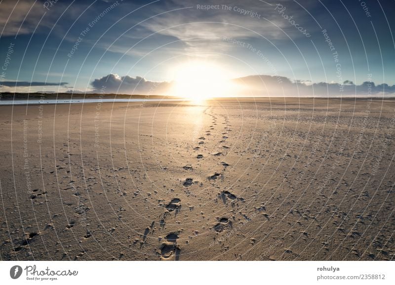 Fußwege zum Sonnenaufgang am Horizont, Texel Ferien & Urlaub & Reisen Strand Paar Natur Landschaft Sand Himmel Schönes Wetter Küste Nordsee Wege & Pfade blau