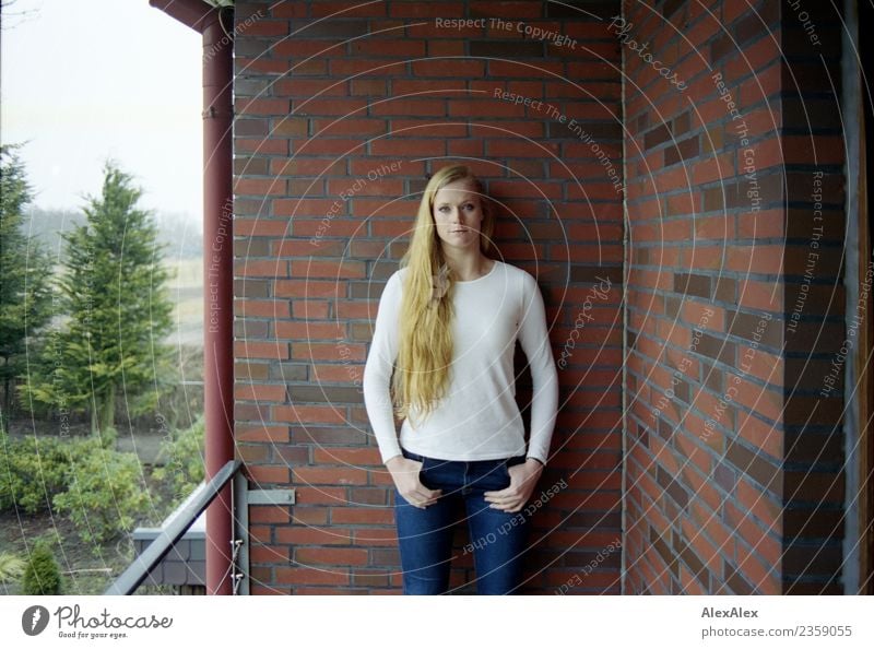 Balkonvergnügen Häusliches Leben Garten Regenrohr Backsteinwand Junge Frau Jugendliche 18-30 Jahre Erwachsene Baum T-Shirt Jeanshose blond langhaarig Stein