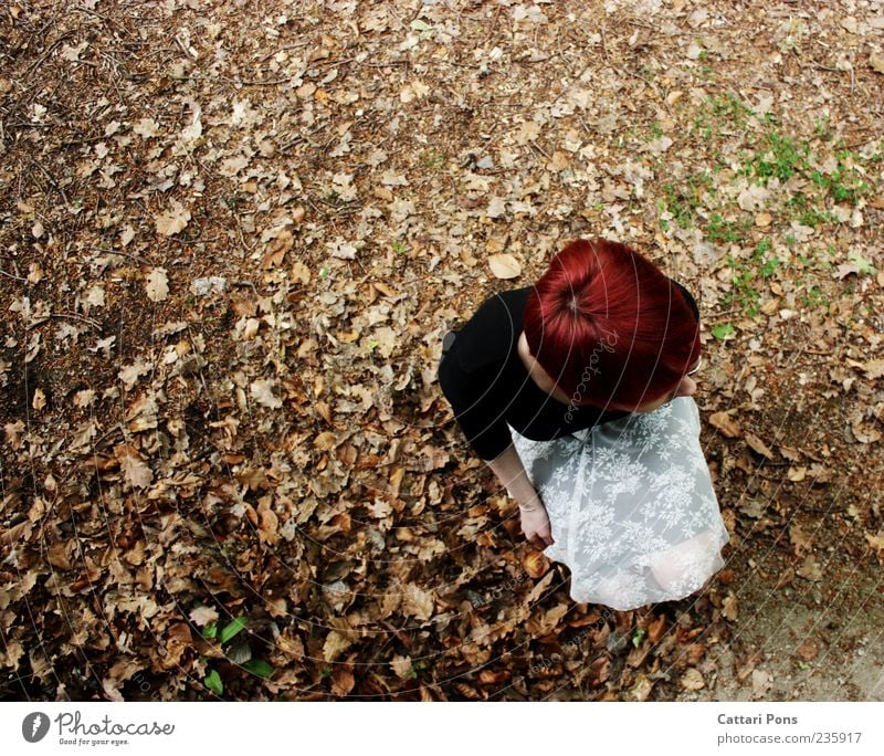 just... feminin Junge Frau Jugendliche Erwachsene Kopf 1 Mensch Blatt Rock Haare & Frisuren rothaarig kurzhaarig beobachten entdecken hocken sitzen einzigartig