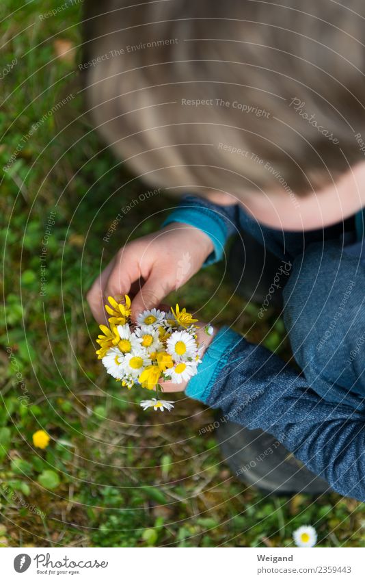 Muttertag ruhig Meditation Kindererziehung Kindergarten Schulkind Kleinkind Junge 1 Mensch trösten dankbar achtsam Blume schenken Geburtstag Garten