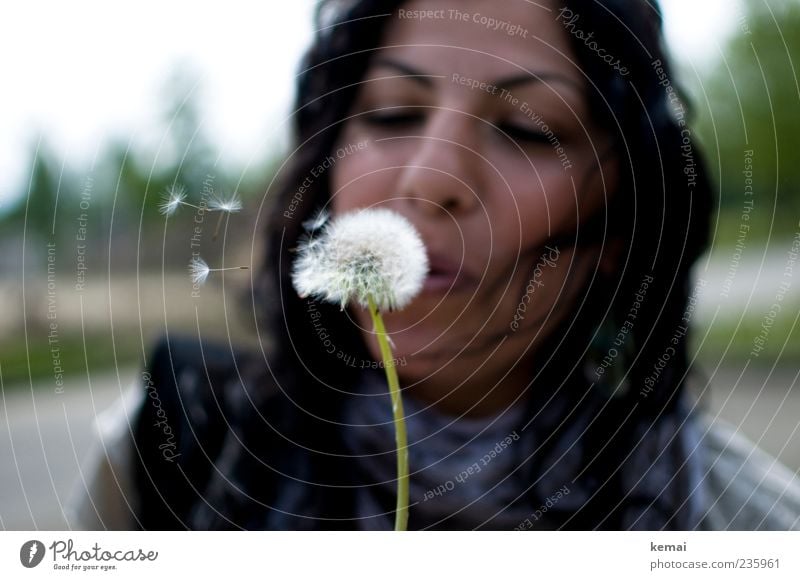 Pusten Freude Mensch feminin Junge Frau Jugendliche Erwachsene Leben Kopf Haare & Frisuren Gesicht Nase 1 18-30 Jahre Umwelt Natur Pflanze Blume Blüte Löwenzahn