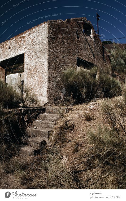 Lost Ferien & Urlaub & Reisen Häusliches Leben Umwelt Natur Wolkenloser Himmel Sommer Dürre Sträucher Haus Ruine Architektur Mauer Wand Treppe Einsamkeit