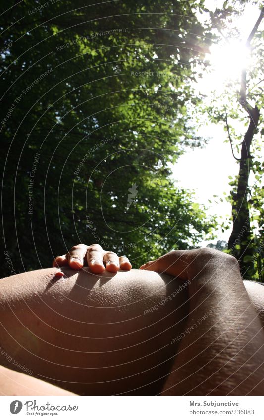 Sonnenbad Wohlgefühl Zufriedenheit Erholung ruhig Ferien & Urlaub & Reisen Sommer Mensch maskulin Mann Erwachsene Körper Haut Brust Arme Hand Bauch 1 Baum