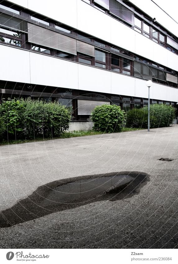 pausenhof Haus Sträucher Hecke Bauwerk Gebäude Architektur Fenster einfach Perspektive Pfütze Teer nass Schulhof Laterne leer Außenaufnahme Kontrast