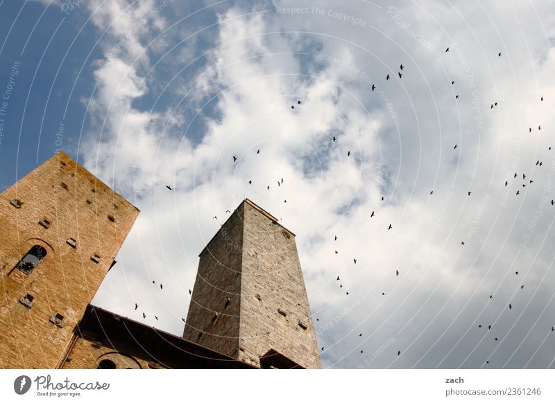 umschwärmt San Gimignano Italien Toskana Kleinstadt Stadtzentrum Altstadt Haus Hochhaus Religion & Glaube Dom Palast Platz Turm Bauwerk Gebäude Architektur