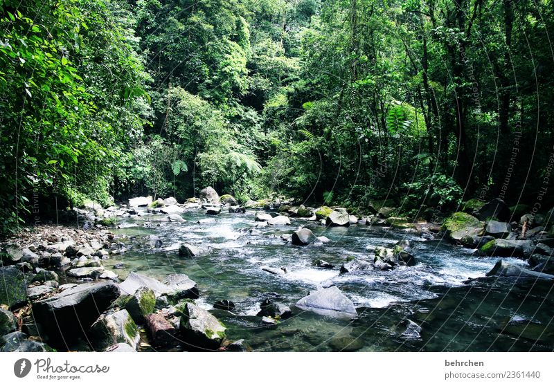 die geschichte des wassers Ferien & Urlaub & Reisen Tourismus Ausflug Abenteuer Ferne Freiheit Umwelt Natur Landschaft Tier Wasser Klimawandel Baum Sträucher