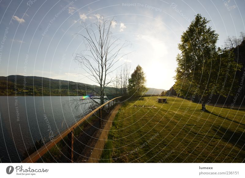 heddalsvatnet Ferien & Urlaub & Reisen Freiheit Natur Landschaft Wasser Sonnenaufgang Sonnenuntergang Sonnenlicht Frühling Schönes Wetter Gras Wiese Hügel See