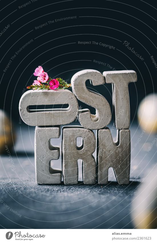 OSTERN - Osterkarte aus Beton-Buchstaben Ostern Osterwunsch Ostergeschenk Osterei Kreativität Blume Kontrast Gegenteil rustikal grau Stapel April Frühling zart