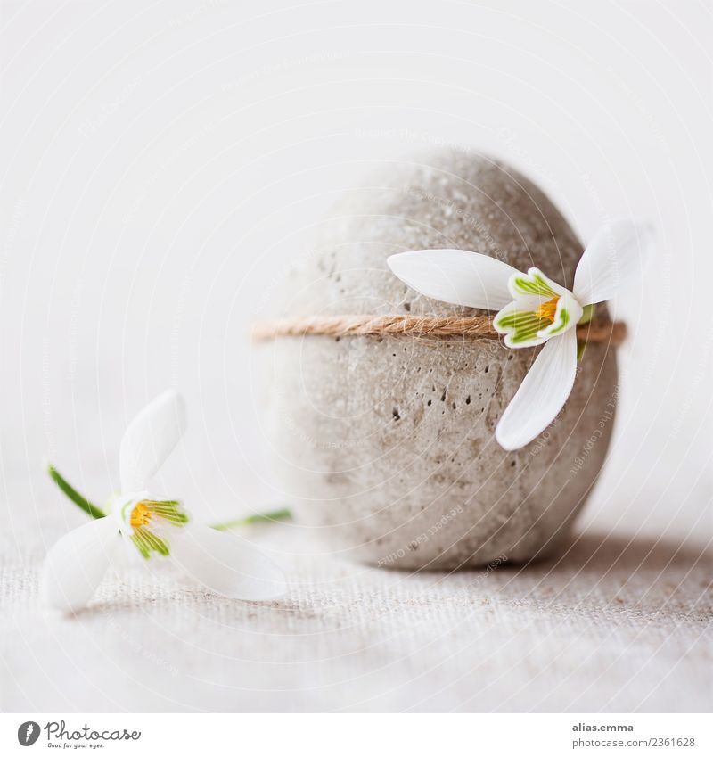 Osterei aus Beton mit kleinen Schneeglöckchen dekoriert Basteln Dekoration & Verzierung Feste & Feiern Ostern Frühling Blume schneeglöckchen grau weiß Glück