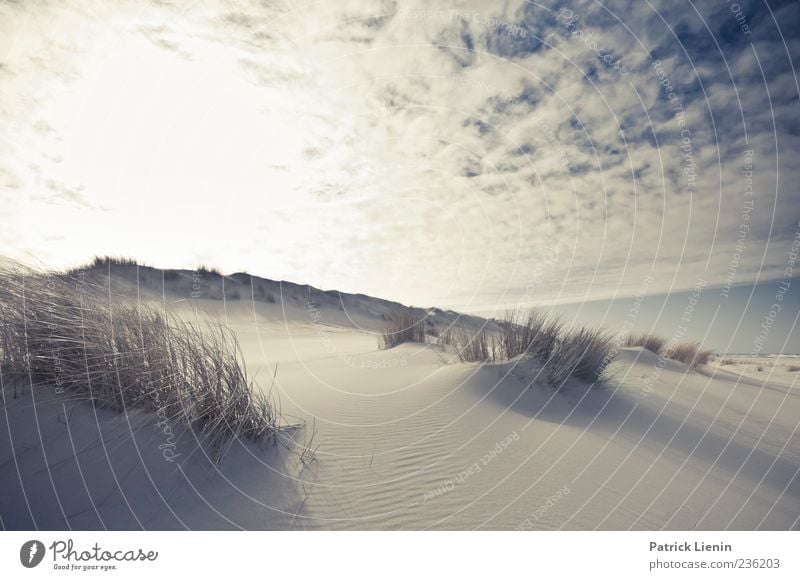 Spiekeroog | caught in a dream ruhig Ferne Strand Umwelt Natur Landschaft Pflanze Urelemente Sand Himmel Wolken Horizont Sonne Sonnenlicht Klima Klimawandel