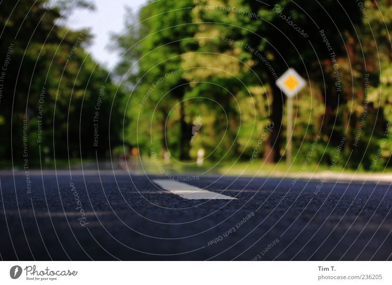 Landstraße Natur Menschenleer Verkehrswege Straßenverkehr Verkehrszeichen Verkehrsschild Ferien & Urlaub & Reisen Vorfahrt Allee Farbfoto Außenaufnahme Tag