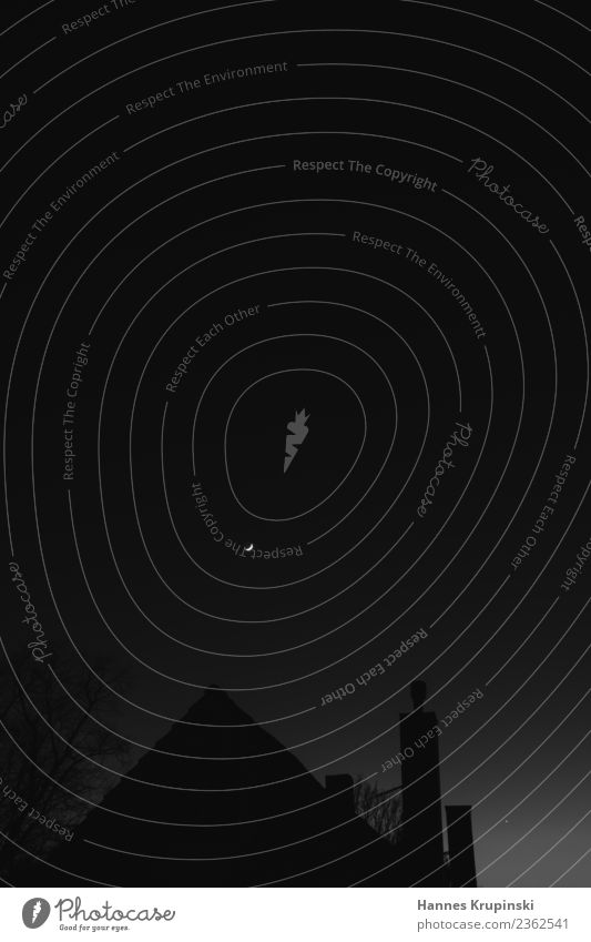 Der Mann im Mond Himmel Nachthimmel Menschenleer Haus Kamin Schornstein beobachten träumen Traurigkeit außergewöhnlich dunkel gruselig schwarz friedlich