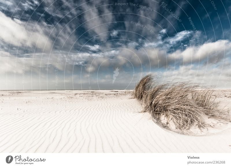 Spiekeroog | ...St. Patrick's Clouds Ferien & Urlaub & Reisen Freiheit Sommer Sommerurlaub Strand Meer Erholung blau weiß Natur Wolken Wolkenhimmel Dünengras