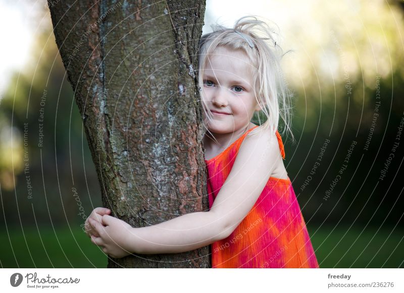 Liebe zur Natur Kind Mädchen Kindheit Leben Arme 1 Mensch 3-8 Jahre Baum Umarmen schön Umweltschutz Kleid Lächeln Baumstamm blond Farbfoto mehrfarbig