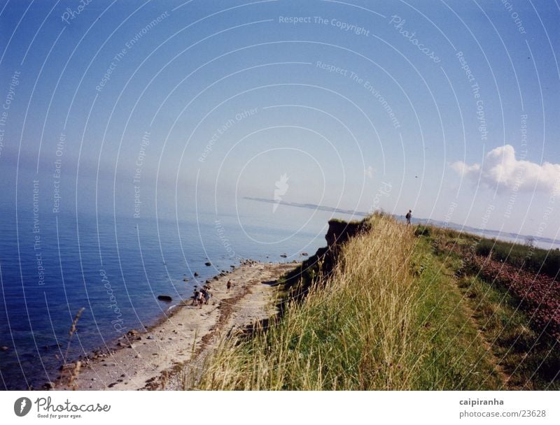 abgrund Klippe Am Rand Strand Wasser Sand Echte Farne