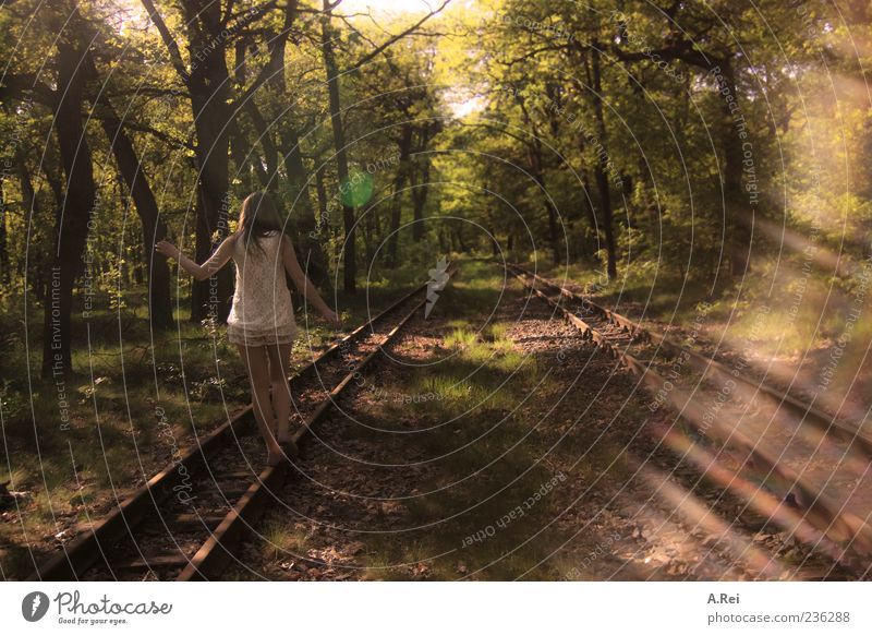 Waldspaziergang Mensch feminin Junge Frau Jugendliche 1 18-30 Jahre Erwachsene Natur Sommer Kleid brünett langhaarig Spaziergang Farbfoto Außenaufnahme