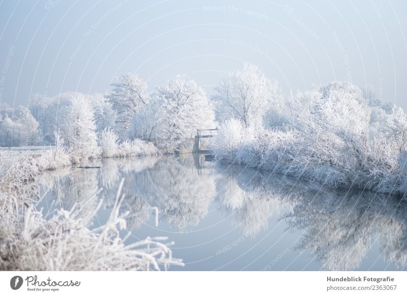 Wintersonne am Flussufer Natur Landschaft Wasser Himmel Sonnenlicht Schönes Wetter Eis Frost Schnee Baum Bach frieren Coolness frisch Unendlichkeit hell kalt