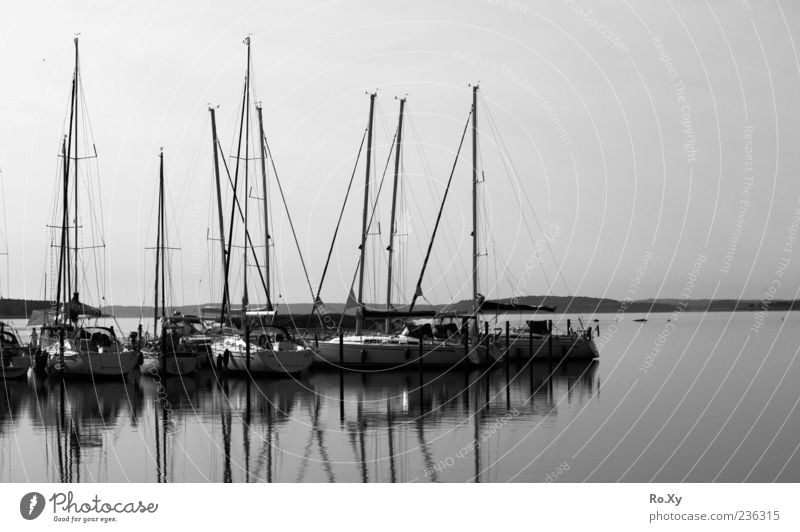 am Hafen Ferien & Urlaub & Reisen Meer Natur Landschaft Wasser Sommer Küste Ostsee Schwarzweißfoto Außenaufnahme Dämmerung Licht Schatten Segelboot ankern Mast