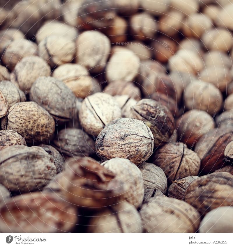 nüsse Lebensmittel Nuss Walnuss Ernährung Fingerfood lecker Farbfoto Außenaufnahme Menschenleer Tag Natur natürlich natürliche Farbe Gedeckte Farben nußbraun