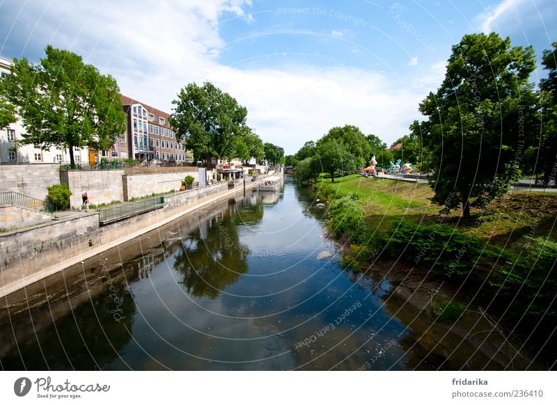 am Leineufer Ausflug Ferne Freiheit Sightseeing Städtereise Natur Landschaft Wolken Sommer Wetter Wind Baum Gras Wiese Küste Flussufer Fluß Leine Hannover