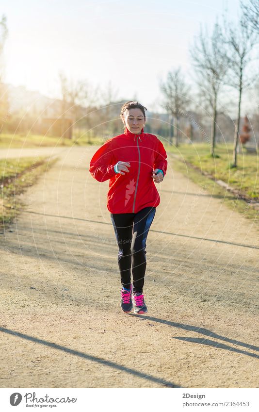 Läuferin beim Joggen im Park Lifestyle Glück schön Wellness Erholung Freizeit & Hobby Winter Sport Leichtathletik Sportler Arbeit & Erwerbstätigkeit Mensch