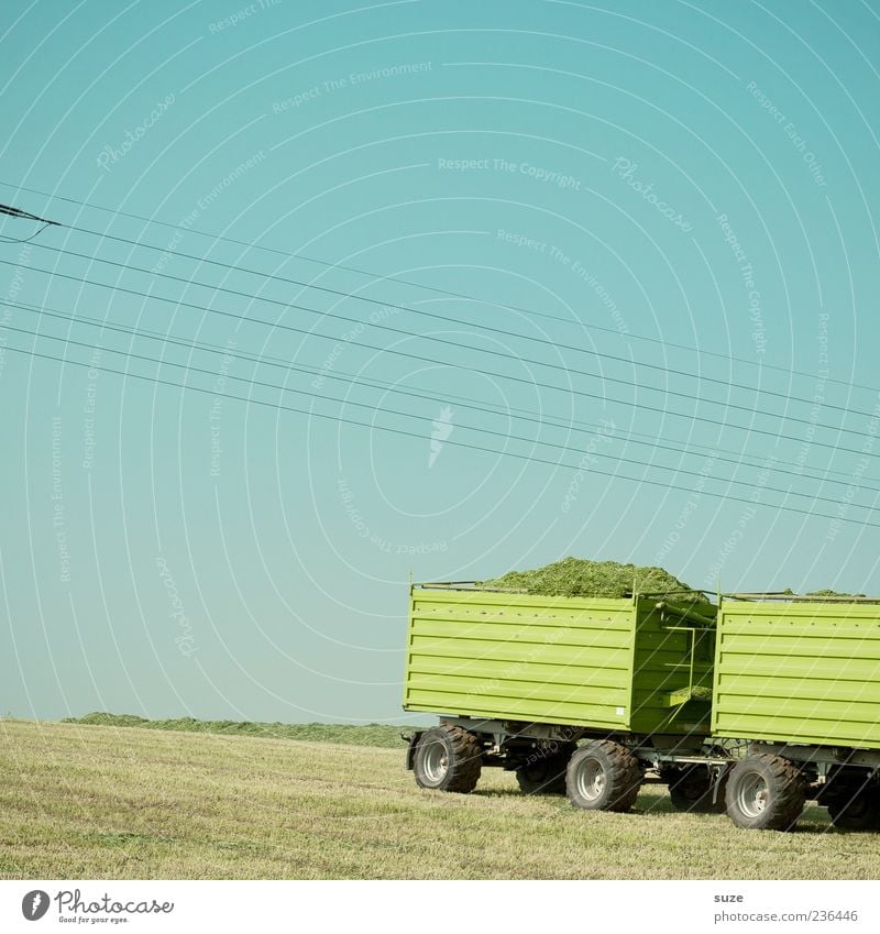 Gründonnerstag Sommer Landwirtschaft Forstwirtschaft Umwelt Natur Himmel Wolkenloser Himmel Schönes Wetter Gras Wiese Feld Fahrzeug Anhänger authentisch einfach