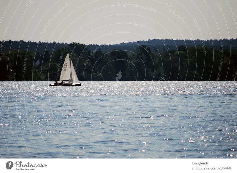 Scharmützelseesegler I Segeln Segelboot Wassersport Wellen See blau ruhig Farbfoto Gedeckte Farben Außenaufnahme Menschenleer Textfreiraum oben