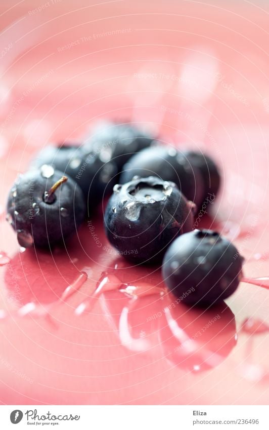 Heidelbeerig Frucht frisch Blaubeeren Gesundheit rosa Tropfen glänzend lecker Nahaufnahme Textfreiraum oben Textfreiraum unten Schwache Tiefenschärfe