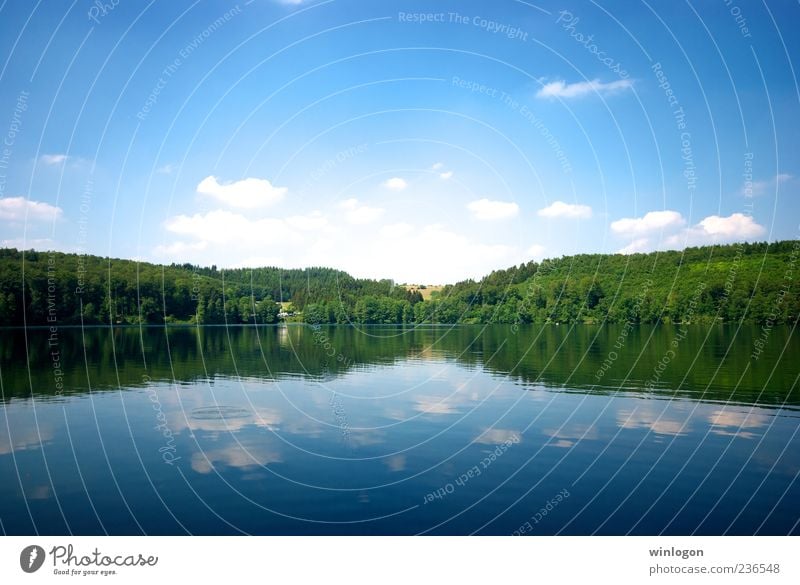 ** Trinkwasser Ferien & Urlaub & Reisen Ferne Freiheit Sommer Sommerurlaub Umwelt Natur Landschaft Wasser Himmel Schönes Wetter Wald See Eifel Deutschland