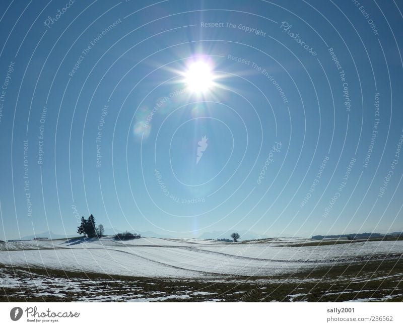 Wintersonne... Ausflug Schnee Natur Landschaft Erde Himmel Wolkenloser Himmel Sonne Sonnenlicht Schönes Wetter Eis Frost Baum Feld Hügel Erholung hell kalt blau