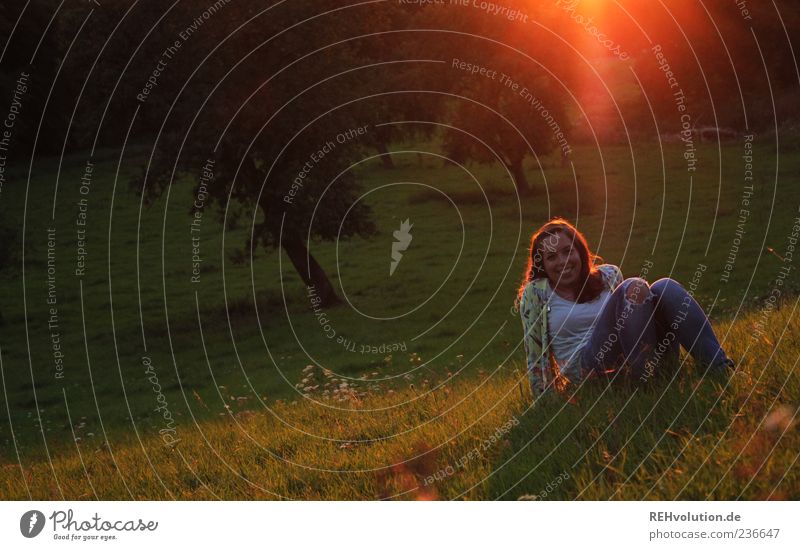 sonnenmomentativ Mensch feminin Junge Frau Jugendliche 1 18-30 Jahre Erwachsene Gefühle Stimmung liegen Wiese Gras sitzen Baum Natur Landschaft Lächeln Glück