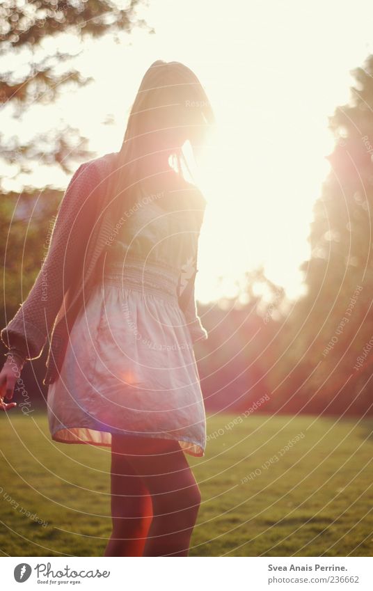 one way. Lifestyle Freude feminin Junge Frau Jugendliche 1 Mensch 18-30 Jahre Erwachsene Schönes Wetter Park Wiese Mode Rock Kleid genießen träumen Traurigkeit