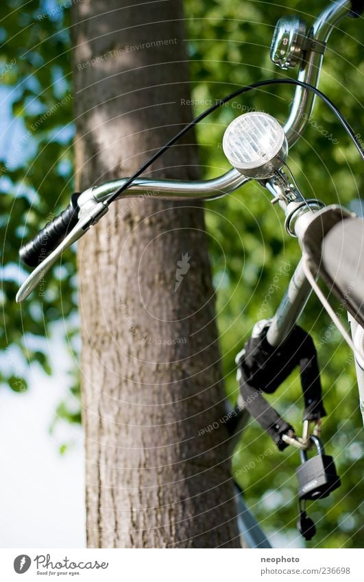 Schönwetterfahrrad Ausflug fahren Ferien & Urlaub & Reisen alt blau grün silber Fahrrad Baum anlehnen Park unangeschlossen fahrradschloss Farbfoto Außenaufnahme