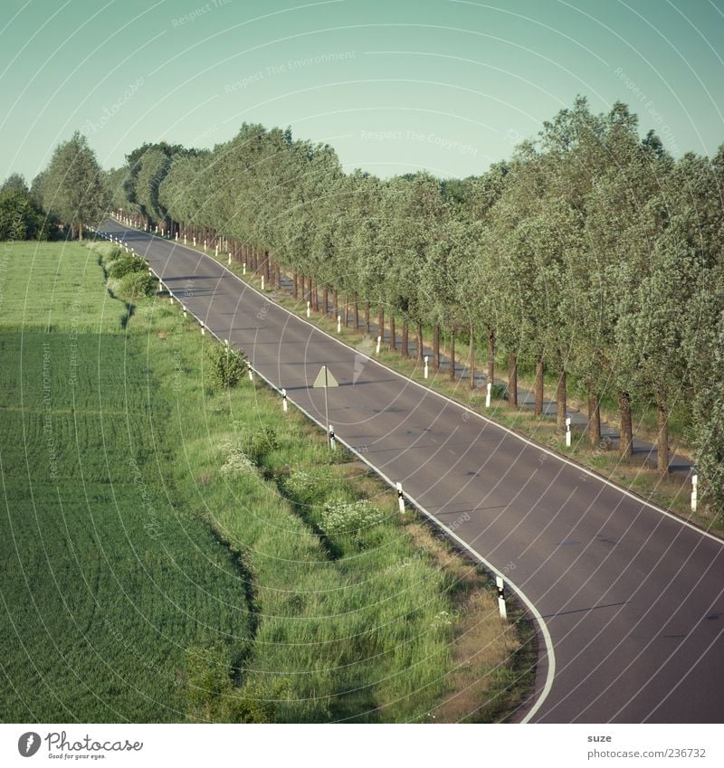 Landstraße Sommer Umwelt Natur Landschaft Himmel Klima Schönes Wetter Baum Wiese Feld Verkehr Verkehrswege Straßenverkehr Wege & Pfade Ziel Kurve Asphalt