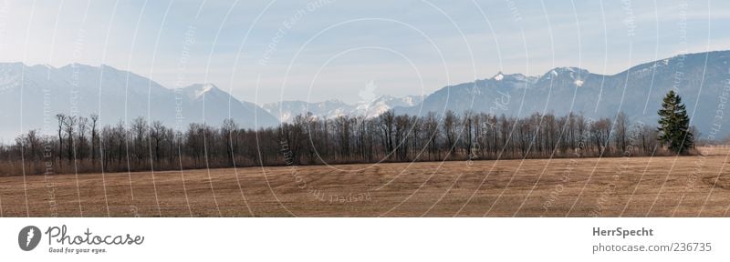 Moosblick Natur Landschaft Schönes Wetter Baum Alpen Schneebedeckte Gipfel Moor Sumpf blau braun grau Panorama (Bildformat) Farbfoto Gedeckte Farben