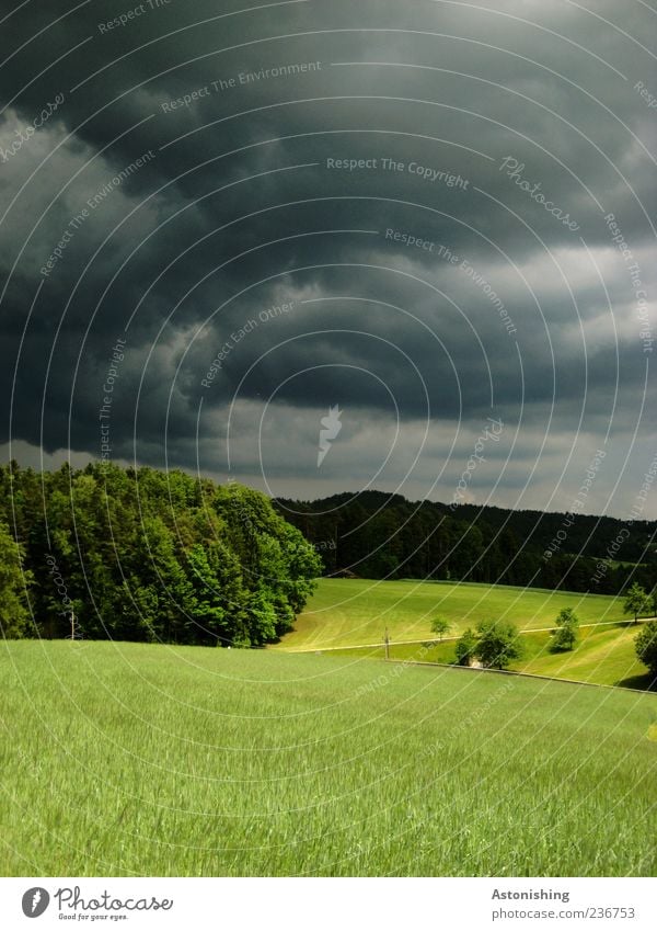 Wetterumbruch I Umwelt Natur Landschaft Pflanze Erde Himmel Wolken Gewitterwolken Horizont Sommer schlechtes Wetter Unwetter Baum Gras Wiese Feld Wald Hügel