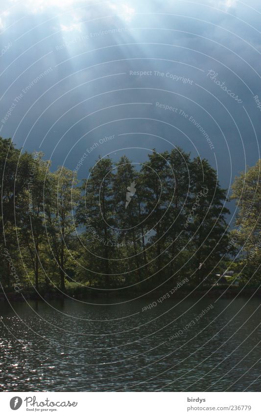 Gewitterstimmung Natur Pflanze Urelemente Gewitterwolken Sonnenlicht Unwetter See außergewöhnlich bedrohlich dunkel Endzeitstimmung Baum Seeufer Naturgewalt