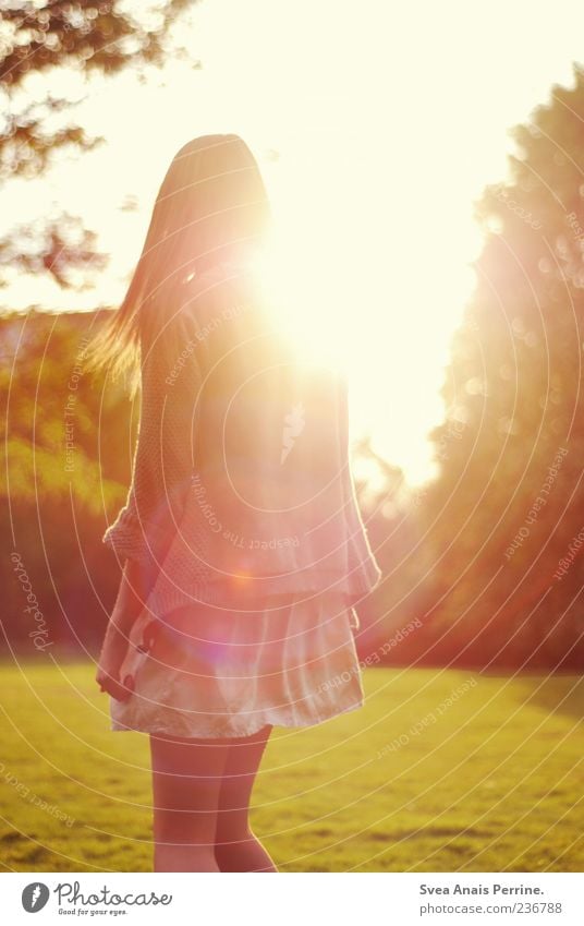 . Lifestyle Stil feminin Junge Frau Jugendliche 1 Mensch 18-30 Jahre Erwachsene Schönes Wetter Park Wiese Rock Kleid langhaarig Bewegung genießen träumen