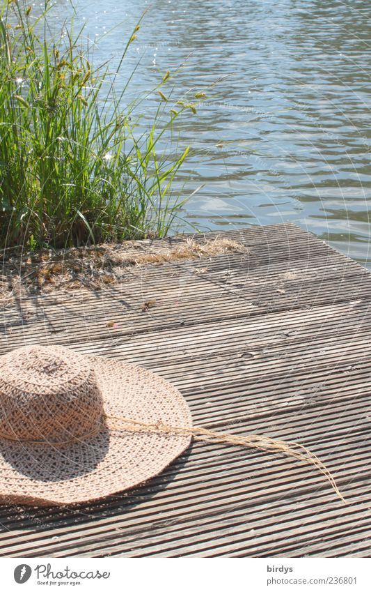 Hütchen am See Stil Natur Wasser Sommer Schönes Wetter Gras Seeufer Hut ästhetisch Freundlichkeit natürlich Glück Freizeit & Hobby Frieden Idylle Leichtigkeit