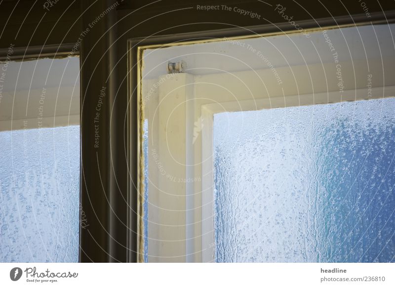 Fenstertropfentraum Holz Glas Tropfen eckig fest kalt nass blau schwarz Schutz Rätsel Farbfoto Nahaufnahme Experiment Menschenleer Morgendämmerung Vorderansicht