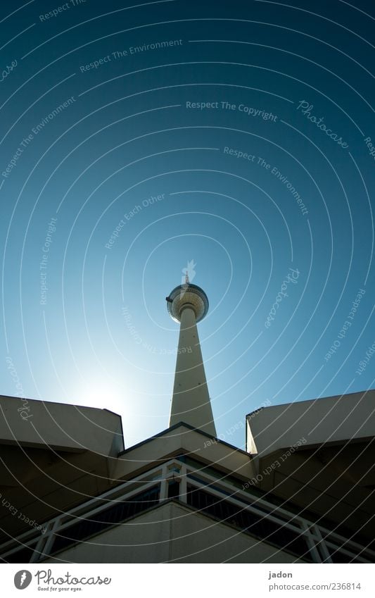 in voller länge. Tourismus Sightseeing Städtereise Himmel Wolkenloser Himmel Turm Bauwerk Sehenswürdigkeit Wahrzeichen groß hoch lang blau standhaft Stolz Stadt