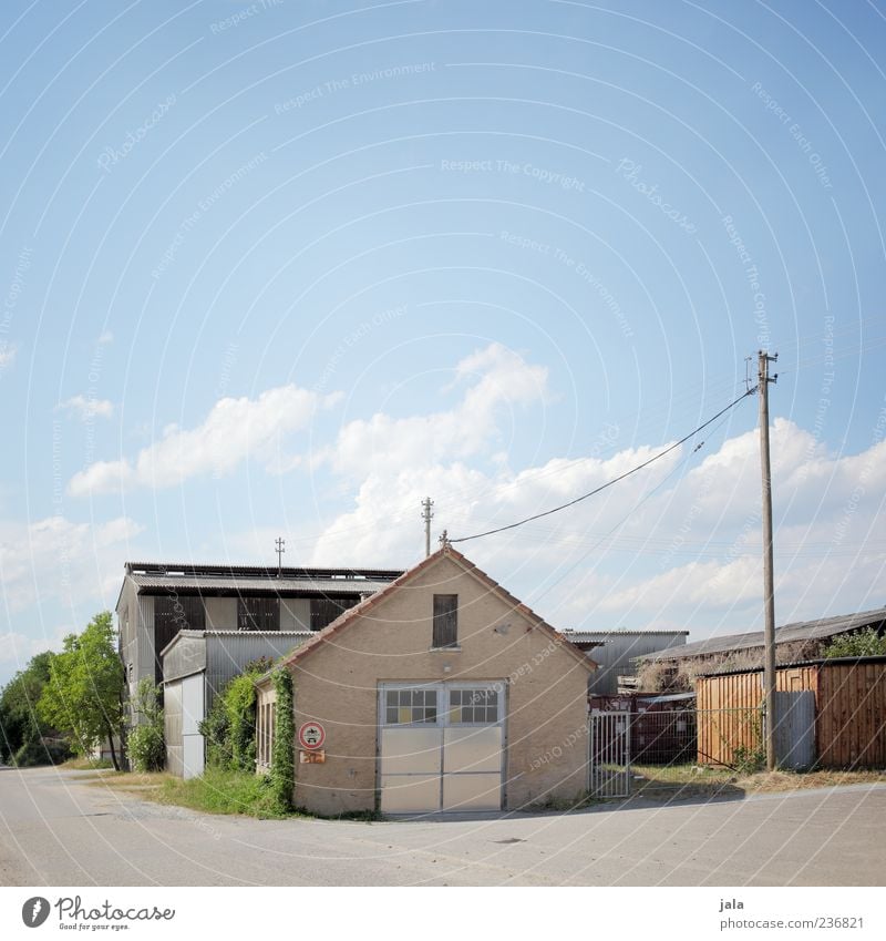 aussiedlerhof Himmel Pflanze Baum Sträucher Haus Bauwerk Gebäude Architektur Strommast hell Farbfoto Außenaufnahme Menschenleer Textfreiraum oben Tag Dorf