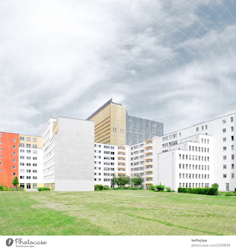 Bild Lifestyle Stil Design Häusliches Leben Wohnung Haus Park Wiese Stadt axel springer Hochhaus Hochhausfassade Berlin Plattenbau bildzeitung Farbfoto