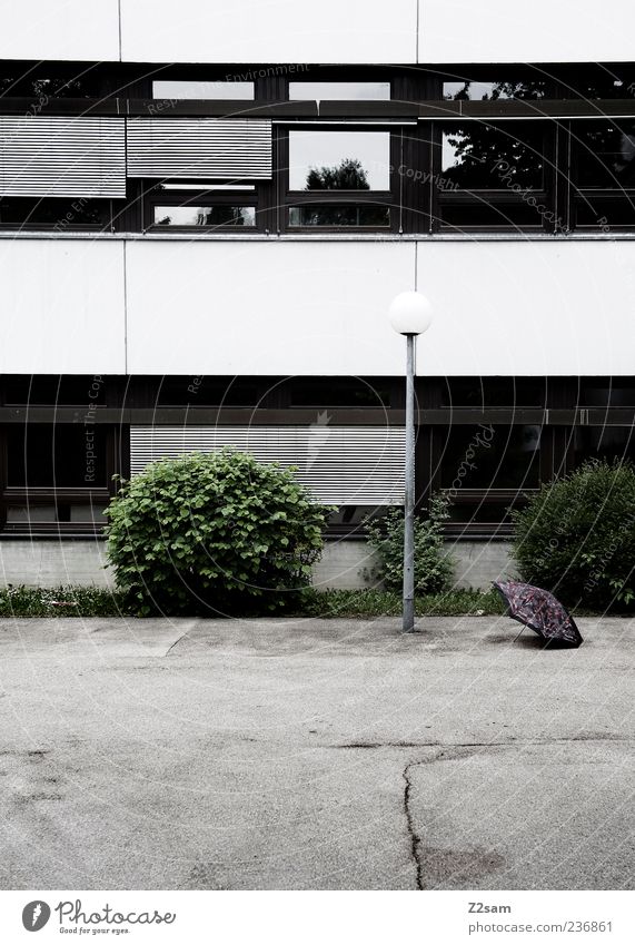 trist Haus Schulhof Sträucher Platz Bauwerk Gebäude Architektur Fenster ästhetisch dunkel einfach kalt trashig Ordnung Perspektive planen Schule Verfall